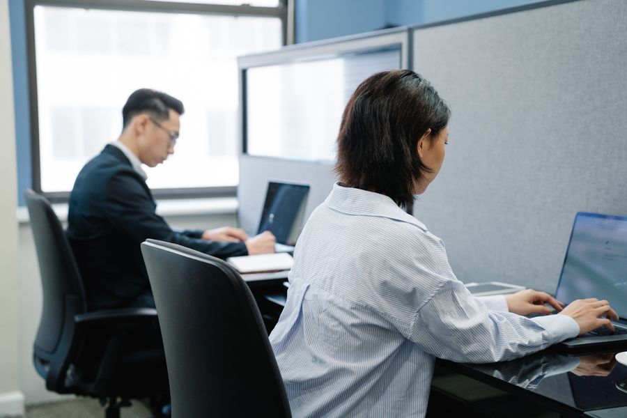 professionals using laptops