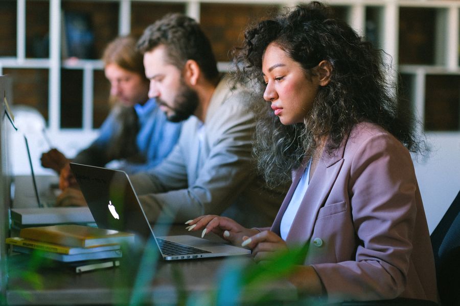 professionals using laptops