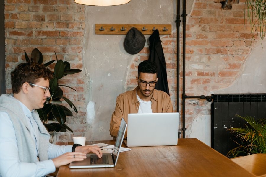 professionals using laptops