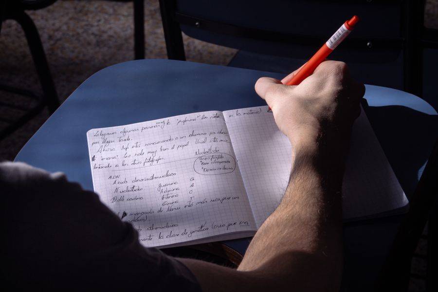 summary writing