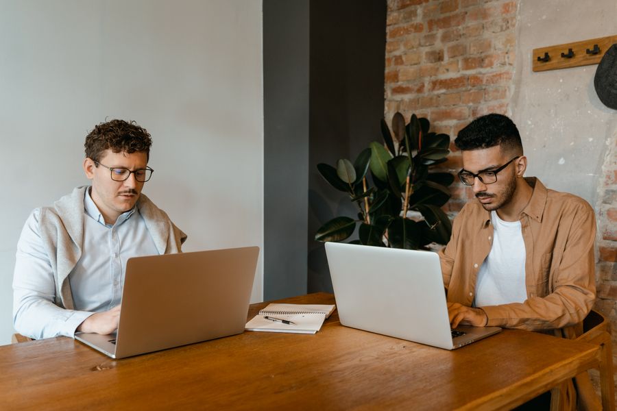 professionals using laptops