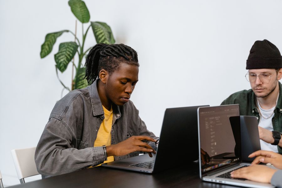 professionals using laptops